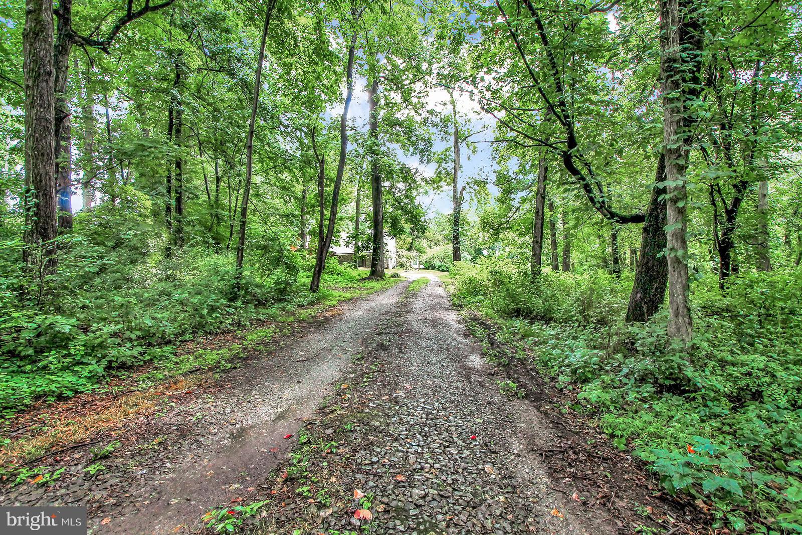 91 Blackburn Road Quarryville, PA 17566 - Photo 34 of 36 10+ Acres of Privacy