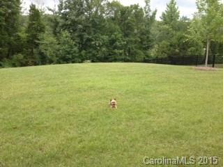 10537 Paxton Run Road Charlotte, NC 28277 - Photo 21 of 21 Gallery Image 21