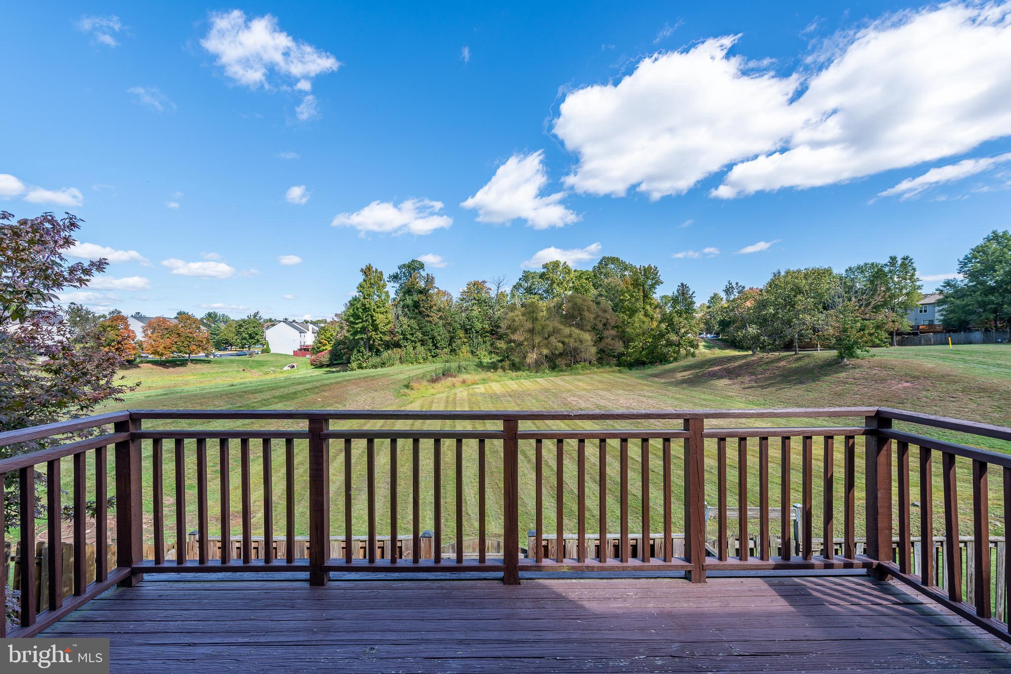 14808 Basingstoke Loop Centreville, VA 20120 - Photo 4 of 37