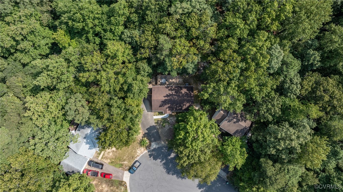 6137 Dijon Drive Mechanicsville, VA 23111 - Photo 42 of 44 an outdoor space with lots of trees