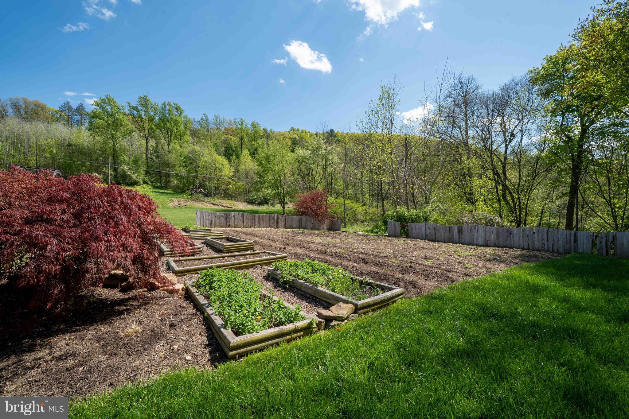 6784 Raccoon Valley Road Millerstown, PA 17062 - Photo 89 of 111 Gallery Image 89