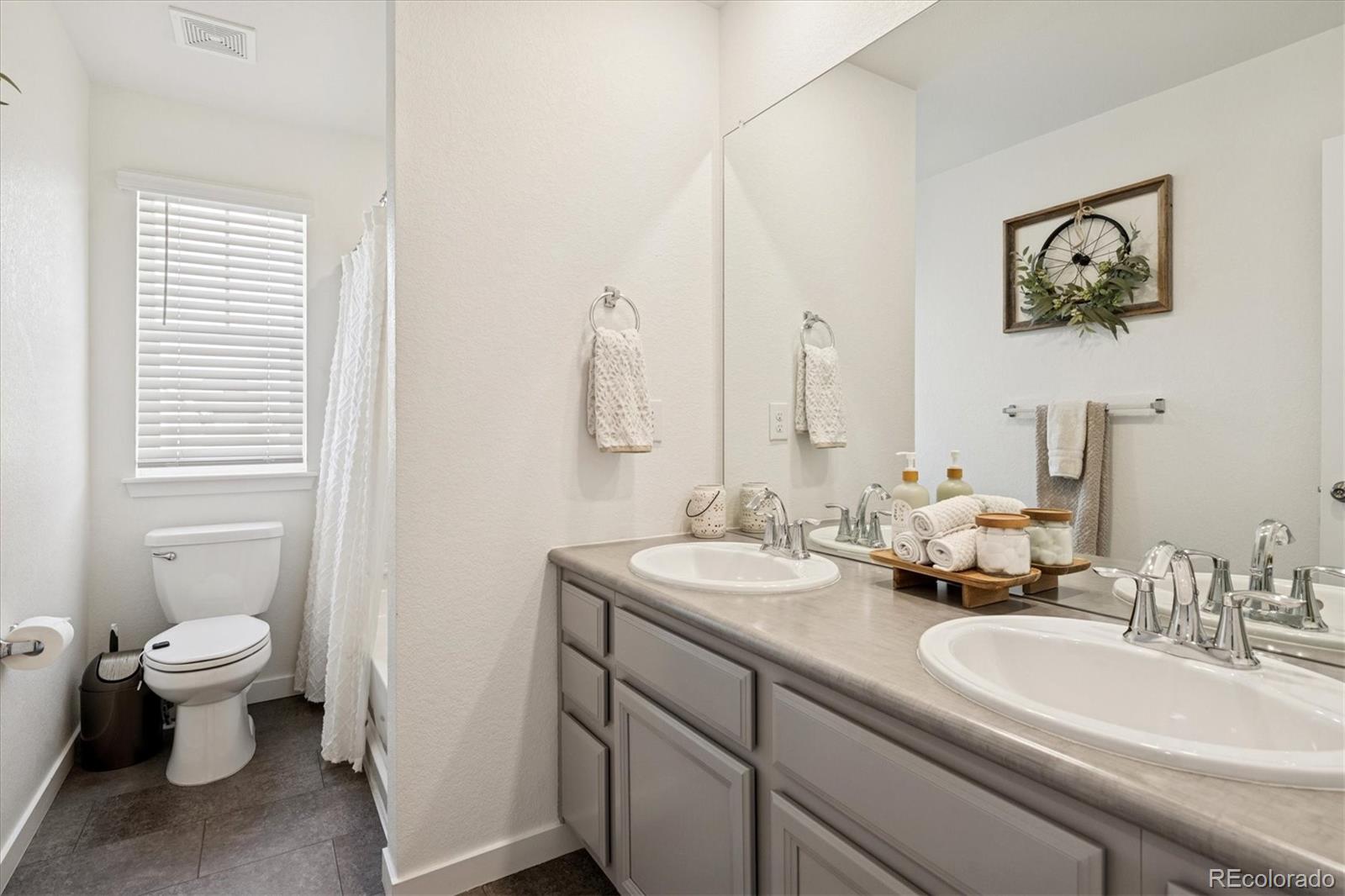 3530 Sawtooth Street Frederick, CO 80516 - Photo 21 of 36 a bathroom with a toilet sink and mirror