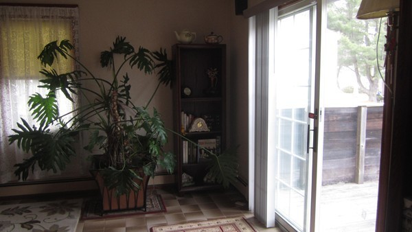 432 Pleasant Street Canton, MA 02021 - Photo 9 of 28 Gallery Image 9