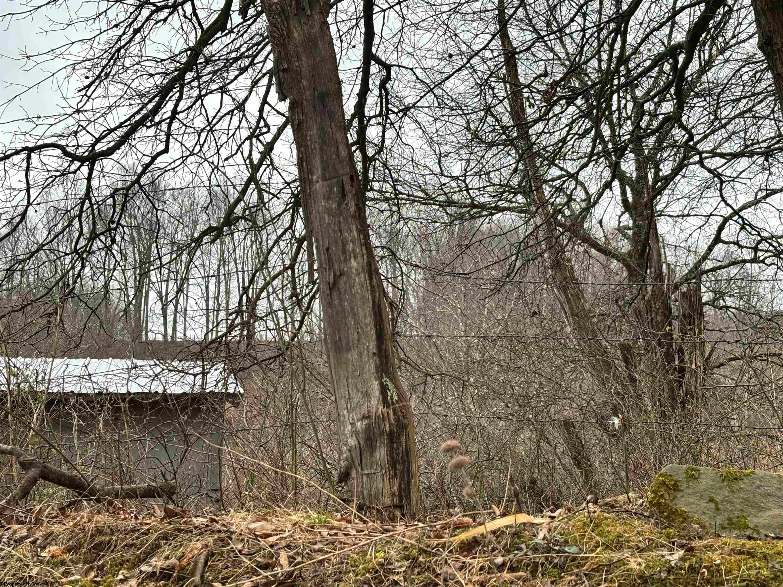537 Carl Phillips Road Montrose, WV 26283 - Photo 6 of 6 Gallery Image 6