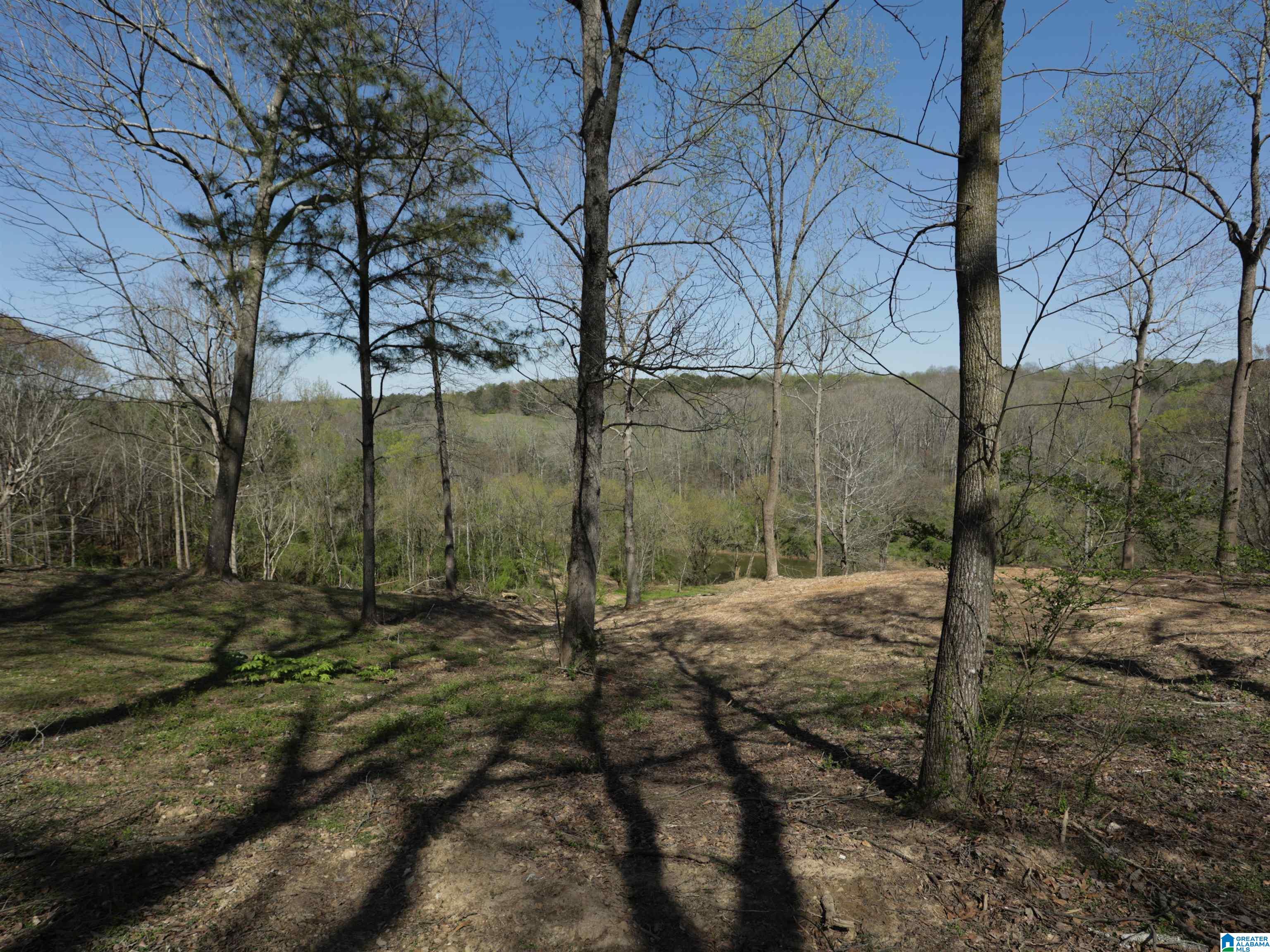 879 Timmerman Road Blountsville, AL 35031 - Photo 61 of 72