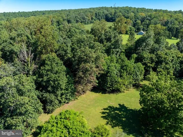 a view of a lush green forest with houses