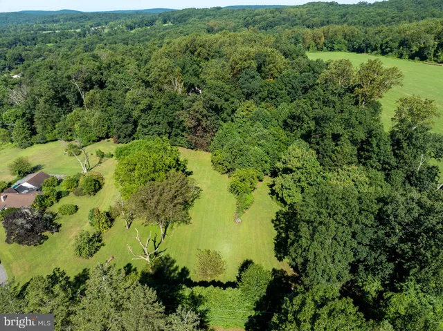 a view of a lush green forest with lots of trees