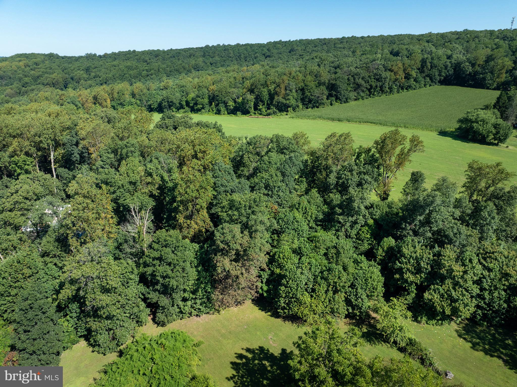 3251 Coventryville Road Pottstown, PA 19465 - Photo 6 of 11 a view of a lush green forest with trees