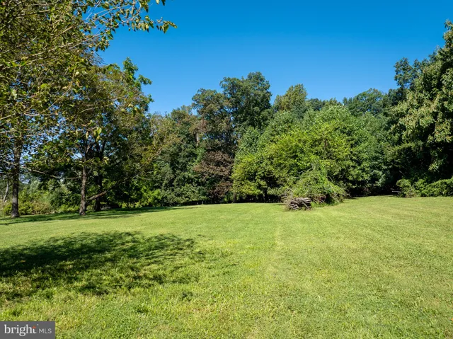 a view of a grassy field with trees