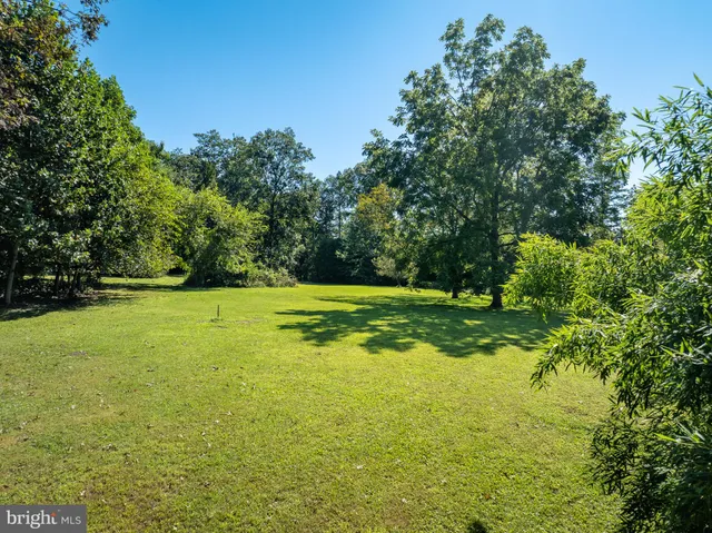 a view of a field with an trees in the background