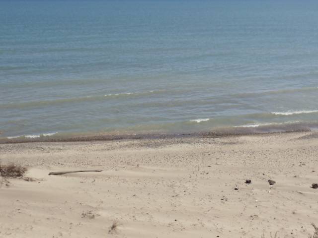 Stunning Sandy Beach!