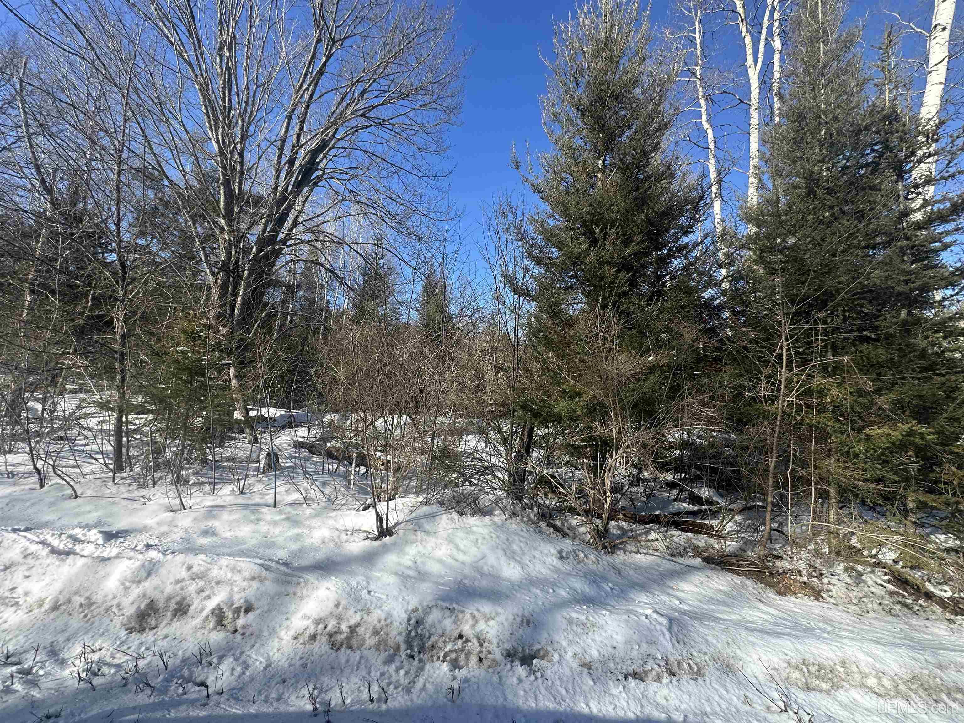 530 Lind Road Crystal Falls, MI 49920 - Photo 2 of 5