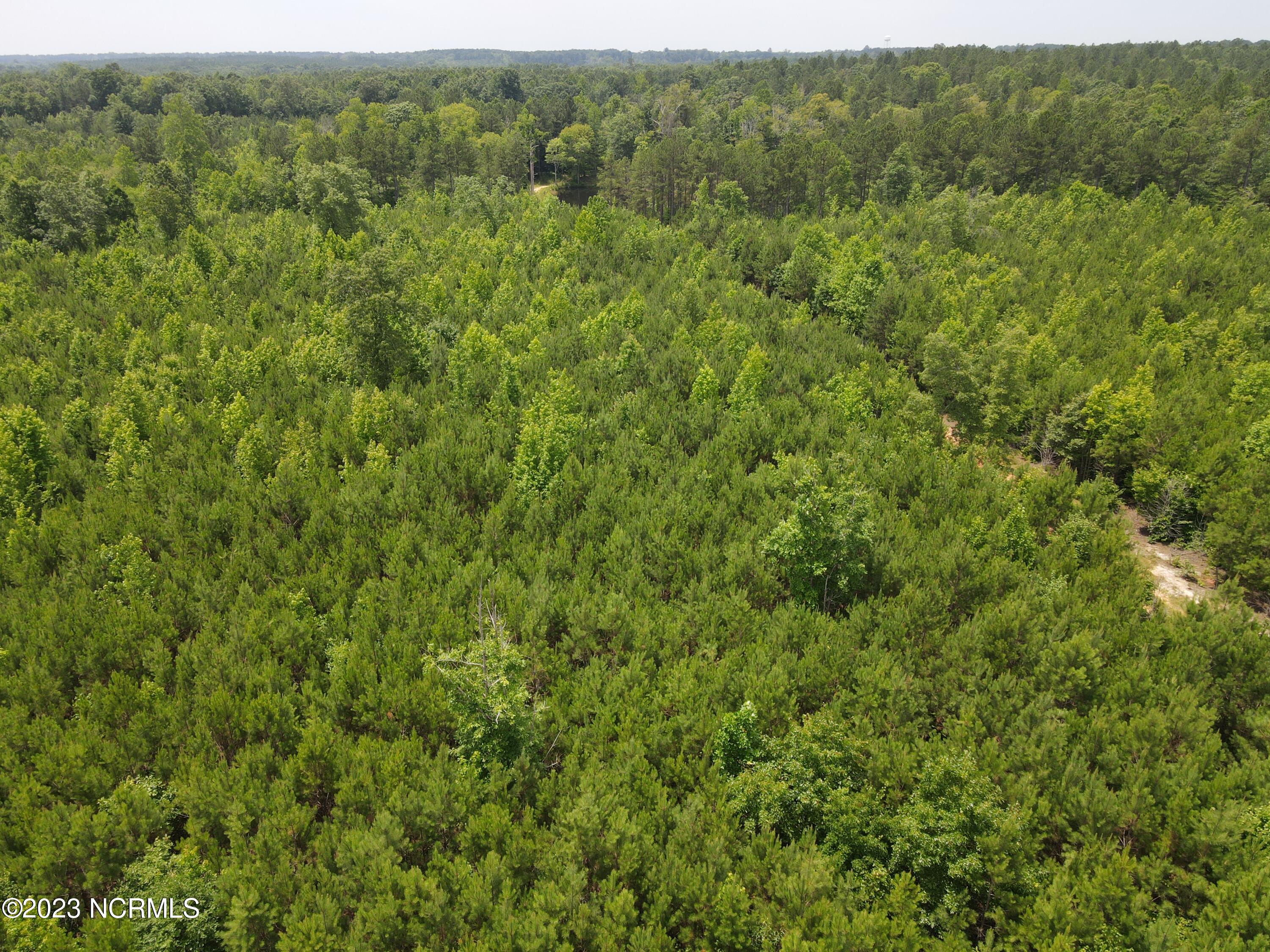 472 Eaton Ferry Road Littleton, NC 27850 - Photo 39 of 86 EFR 23