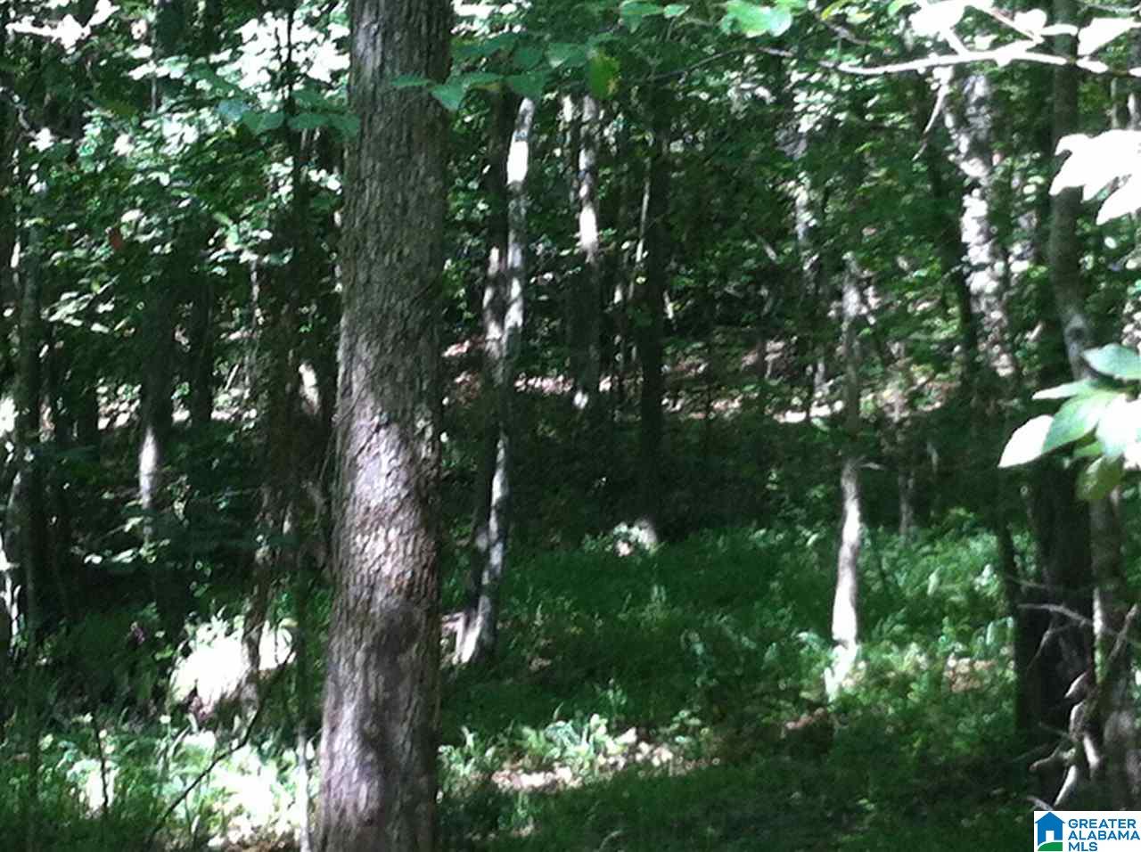 1051 Stagg Run Trail, Unit 13 Pelham, AL 35124 - Photo 3 of 5
