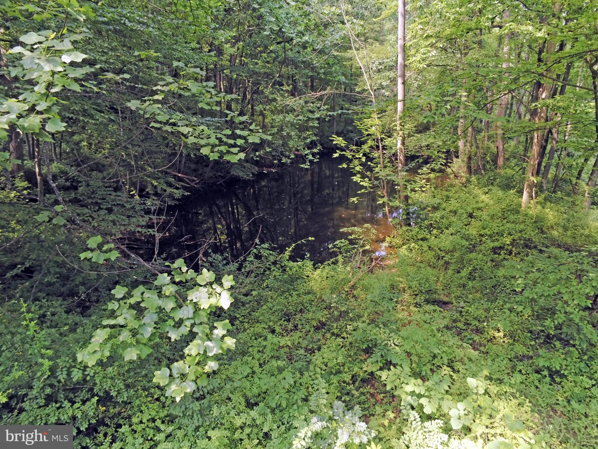 Pond on  property