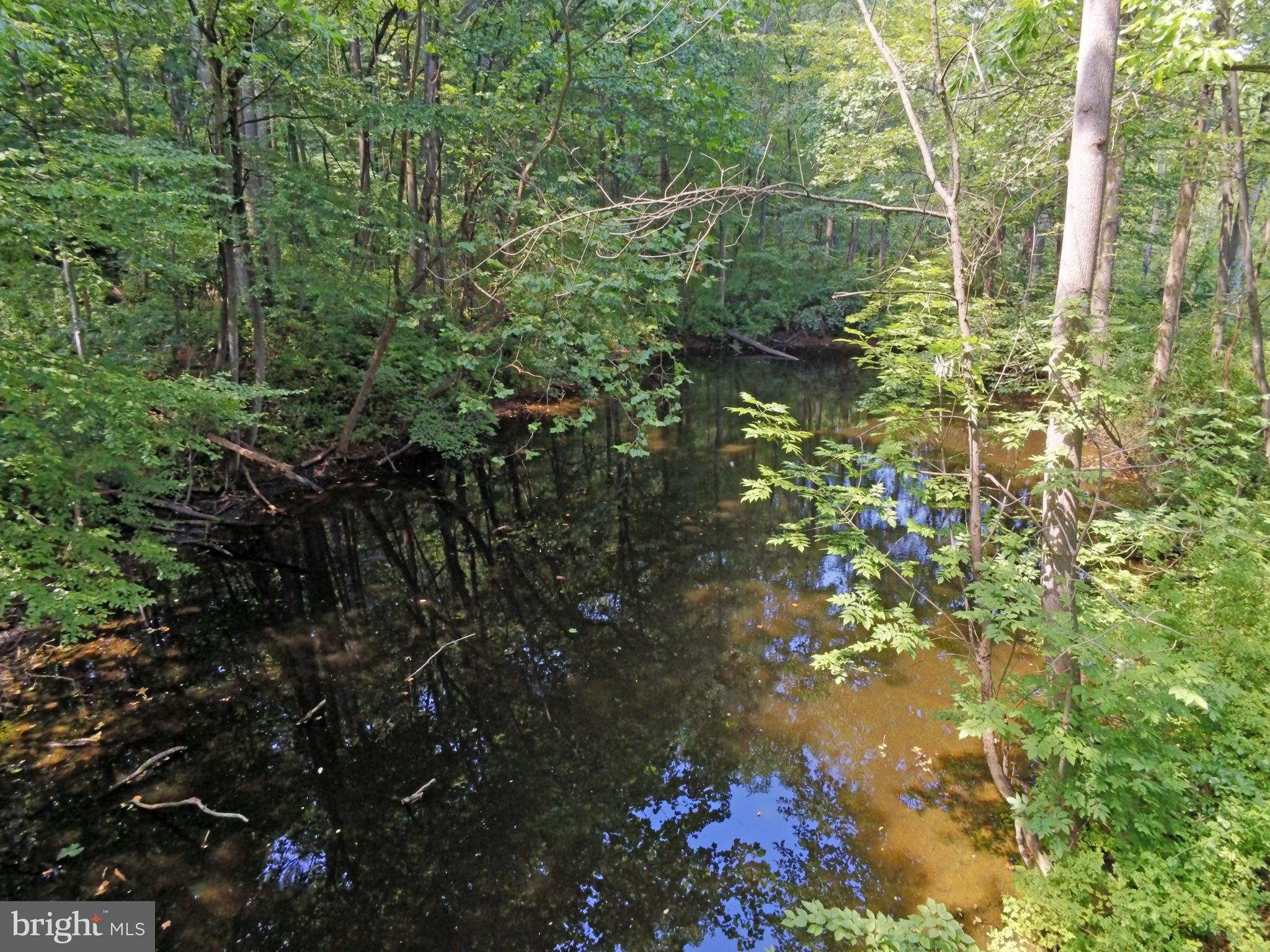 Another Pond view