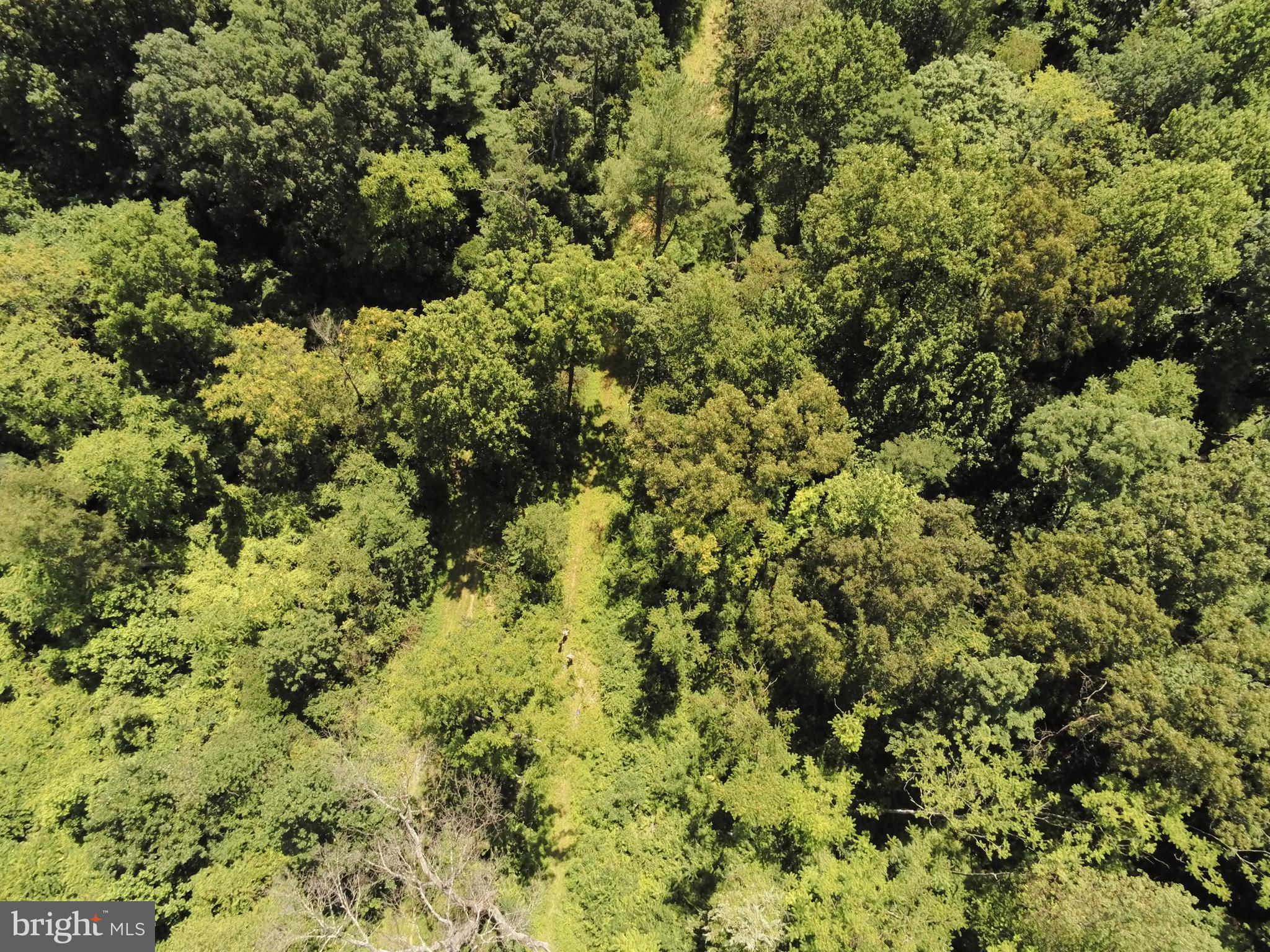 8747 Sweetwater Road Fort Loudon, PA 17224 - Photo 8 of 13 Aerial