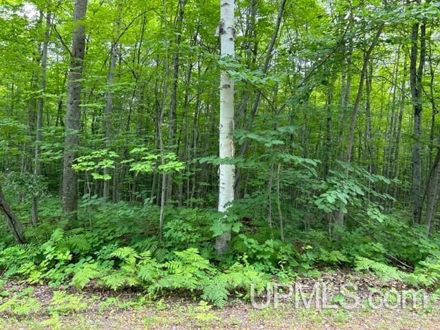 Tbd Lehtola Road Chassell, MI 49916 - Photo 24 of 59 Gallery Image 24