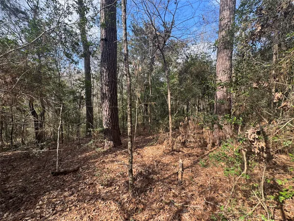 $11,500 | Lot 219 Mallard Drive, Coldspring, TX 77331