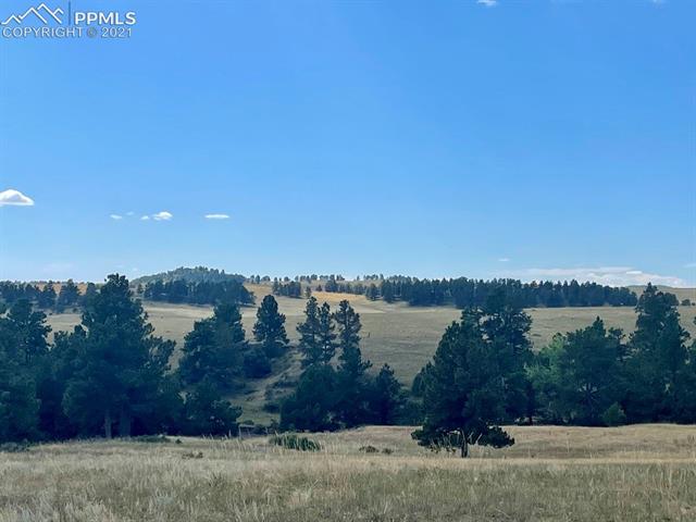 4 County Road 102 Road Elbert, CO 80106 - Photo 5 of 5