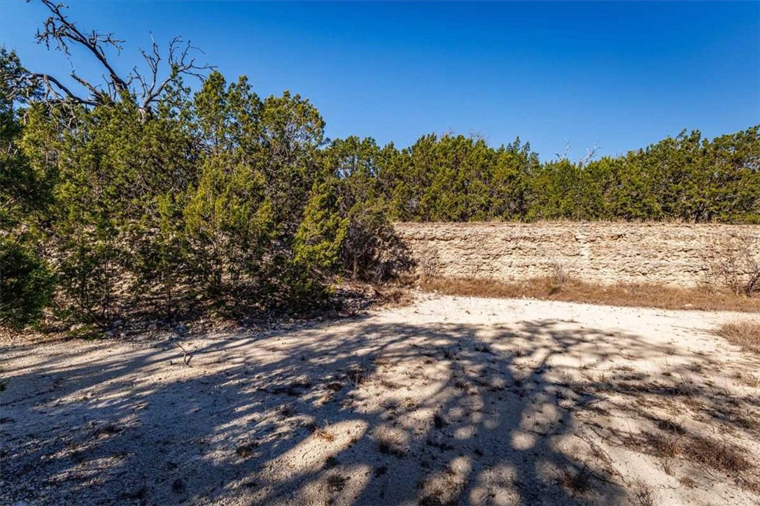 2998 Straws Mill Road Gatesville, TX 76528 - Photo 16 of 77 a view of a yard with trees