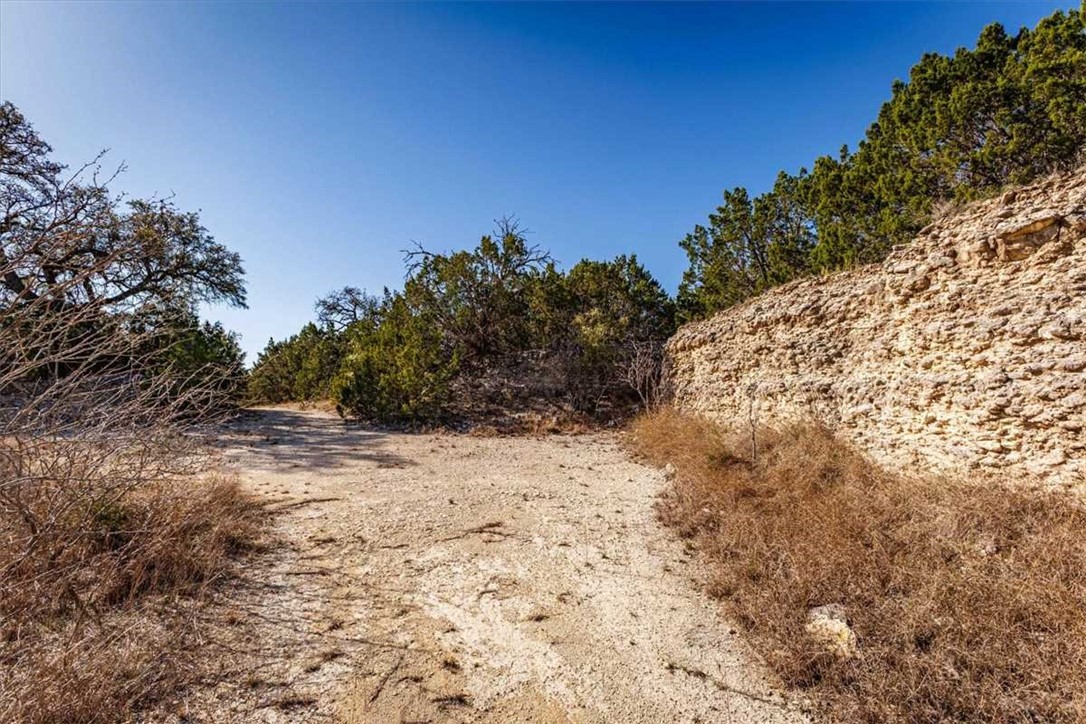 2998 Straws Mill Road Gatesville, TX 76528 - Photo 19 of 77 a view of a dry yard with trees