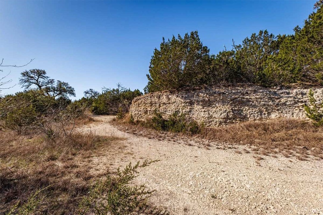 2998 Straws Mill Road Gatesville, TX 76528 - Photo 20 of 77 a view of a dry yard with trees