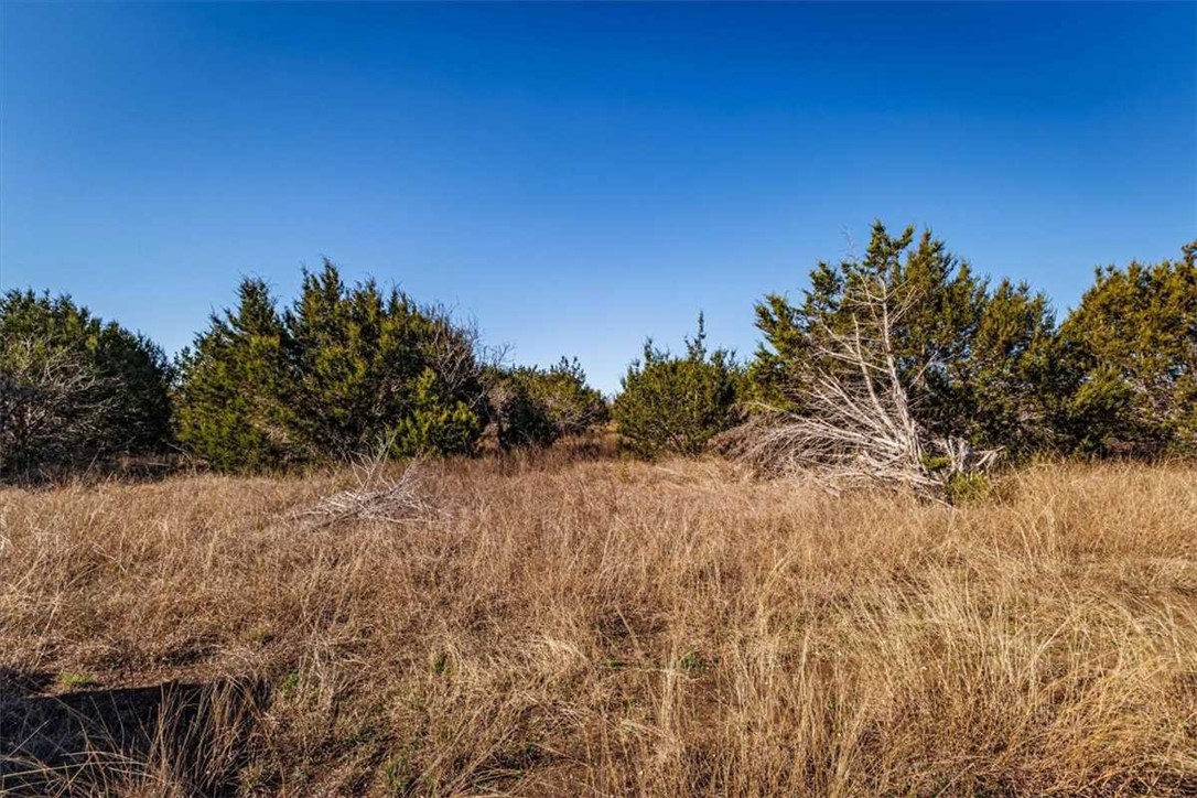 2998 Straws Mill Road Gatesville, TX 76528 - Photo 27 of 77 a view of a yard