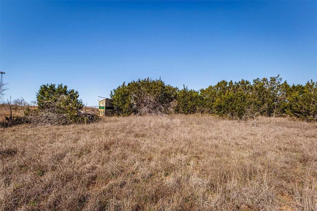 2998 Straws Mill Road Gatesville, TX 76528 - Photo 4 of 77 a view of a dry yard with trees