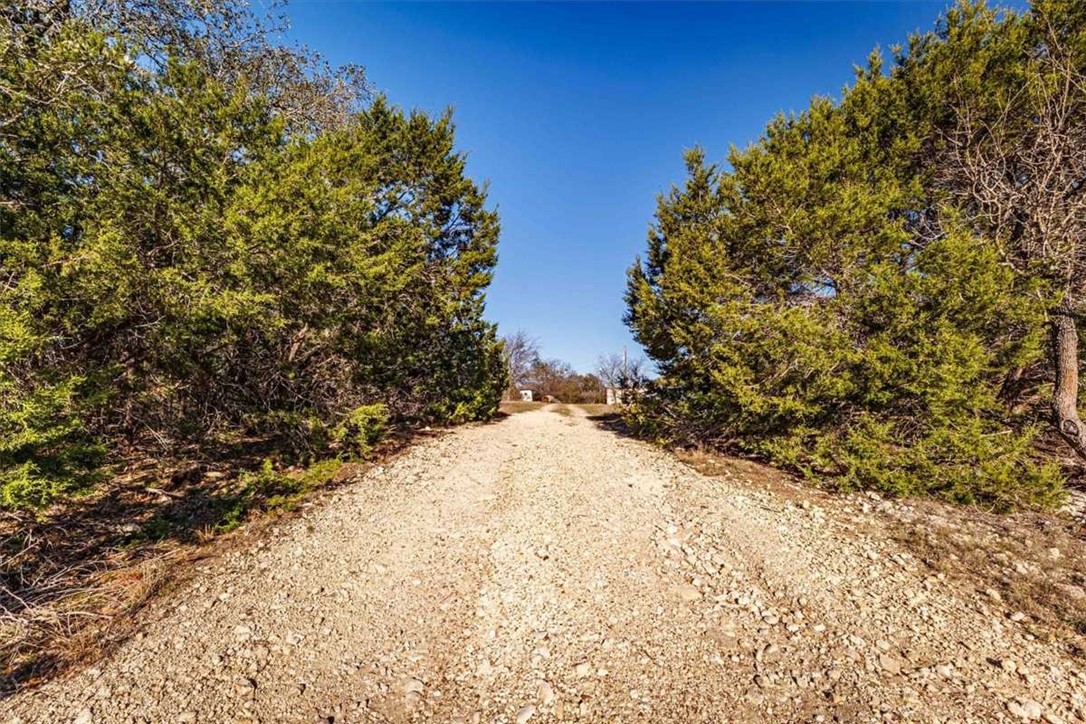 2998 Straws Mill Road Gatesville, TX 76528 - Photo 44 of 77 a view of a yard with a tree