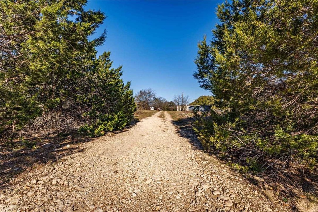 2998 Straws Mill Road Gatesville, TX 76528 - Photo 45 of 77 a view of a road with a tree in the background