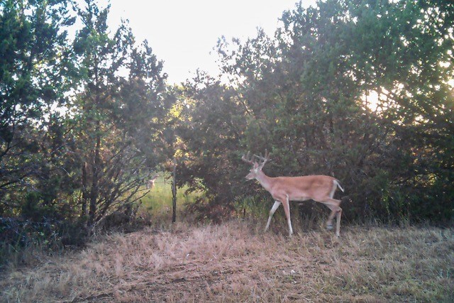 2998 Straws Mill Road Gatesville, TX 76528 - Photo 70 of 77