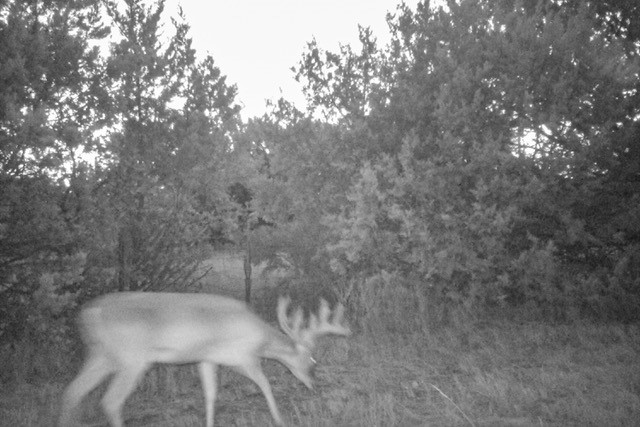 2998 Straws Mill Road Gatesville, TX 76528 - Photo 72 of 77 a view of a outdoor space