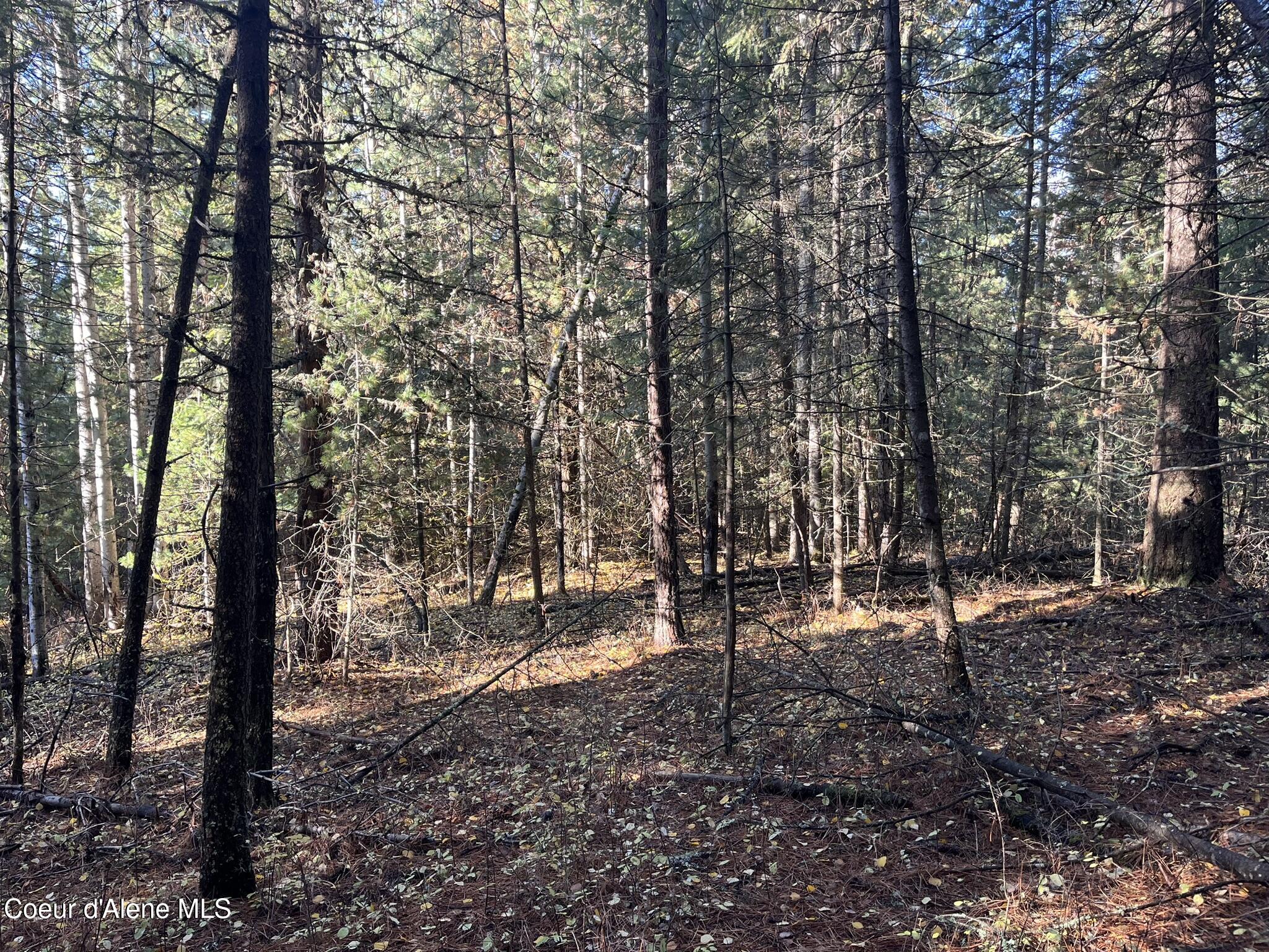 30.91-acs French Gulch Road Pinehurst, ID 83850 - Photo 11 of 22 11