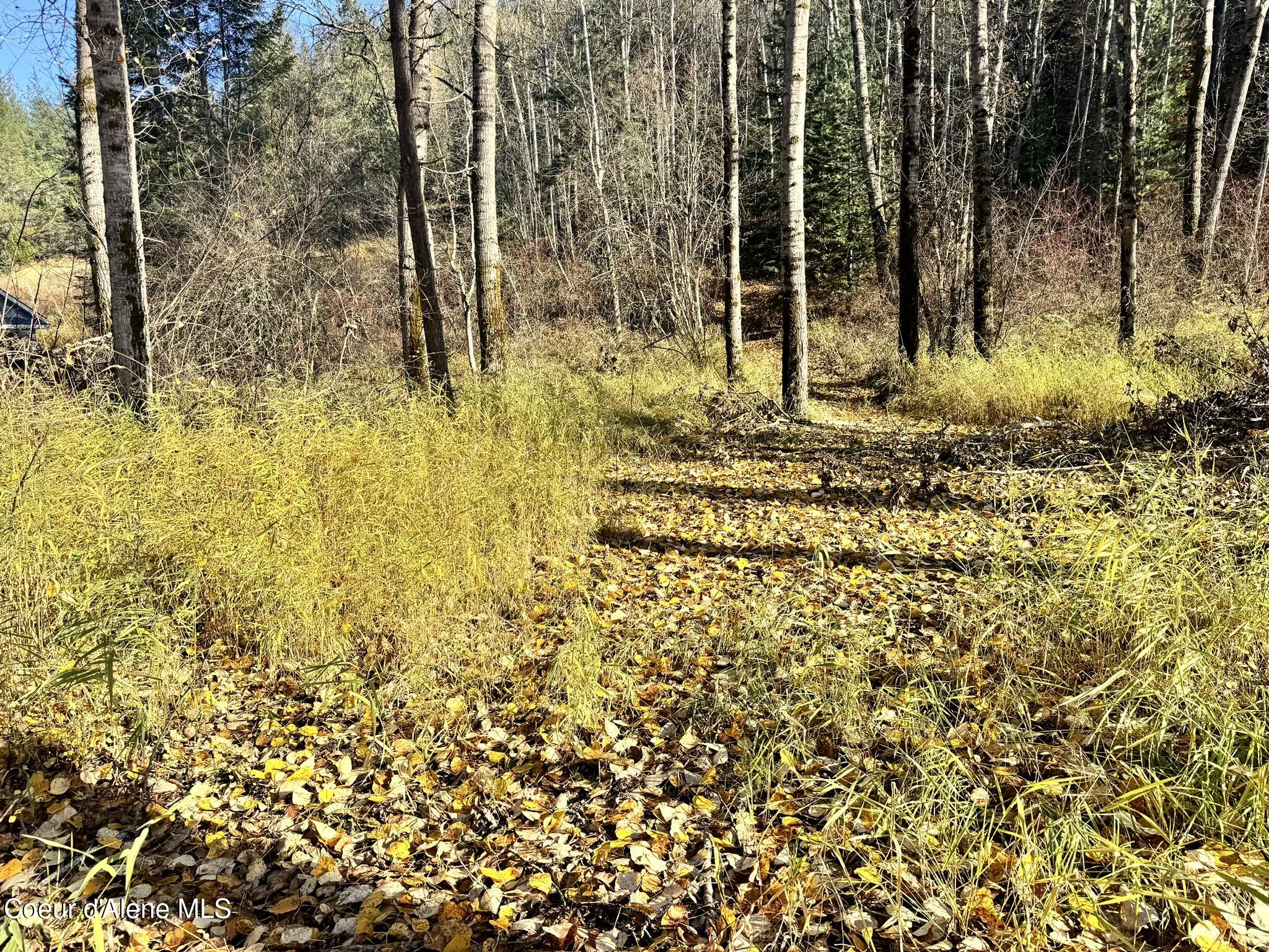 30.91-acs French Gulch Road Pinehurst, ID 83850 - Photo 13 of 22 13