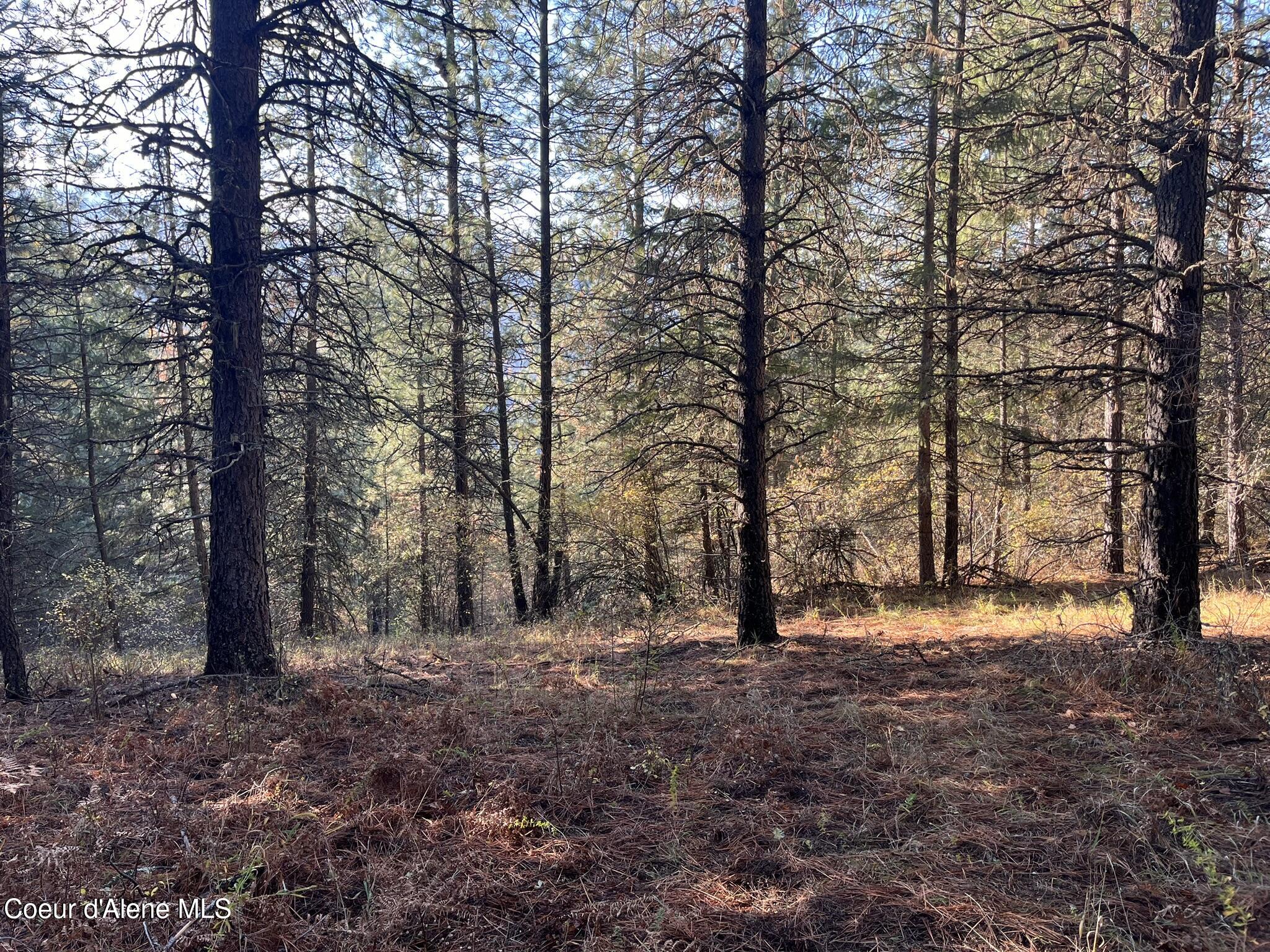 30.91-acs French Gulch Road Pinehurst, ID 83850 - Photo 6 of 22 6