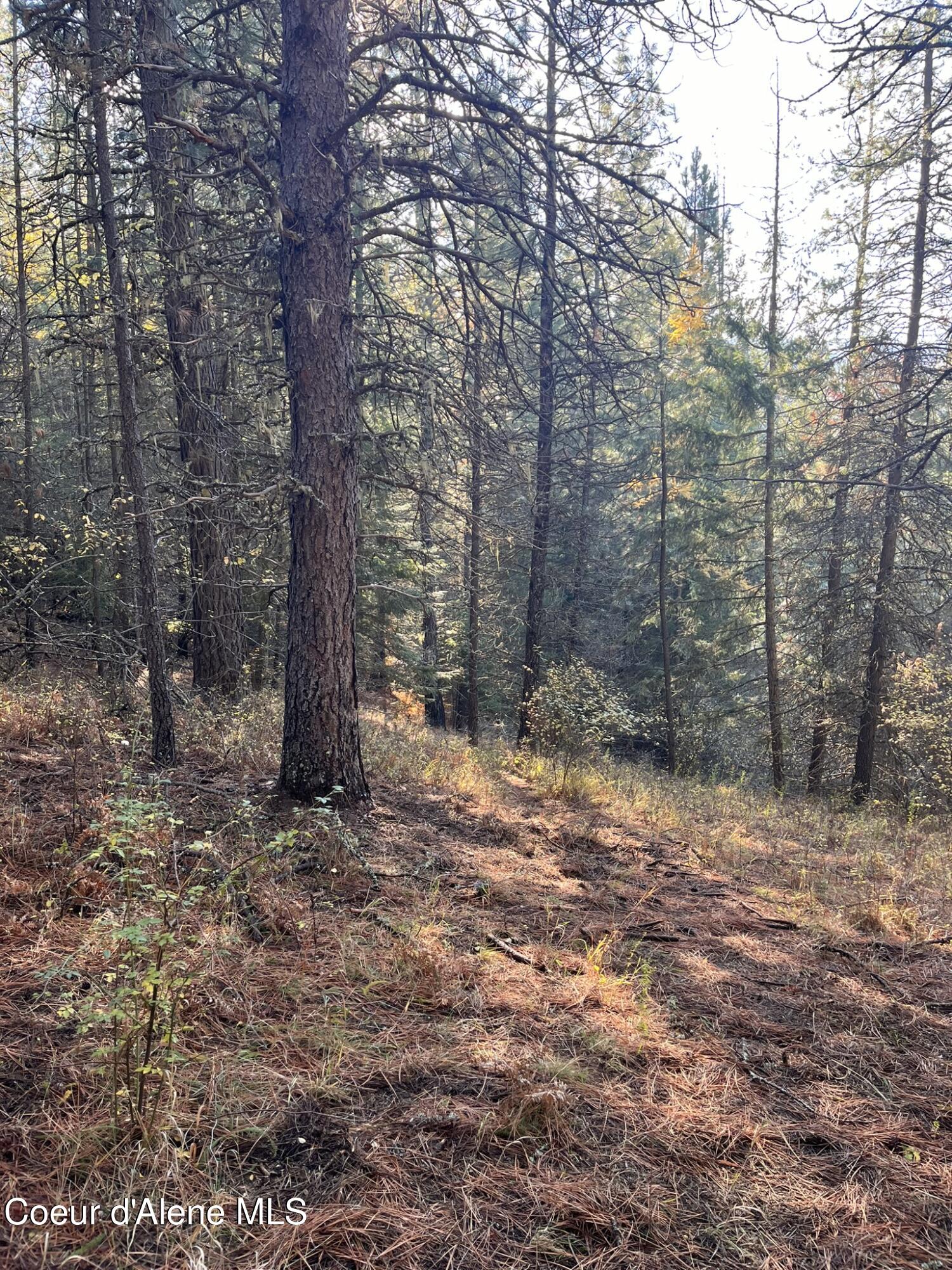 30.91-acs French Gulch Road Pinehurst, ID 83850 - Photo 6 of 22 6