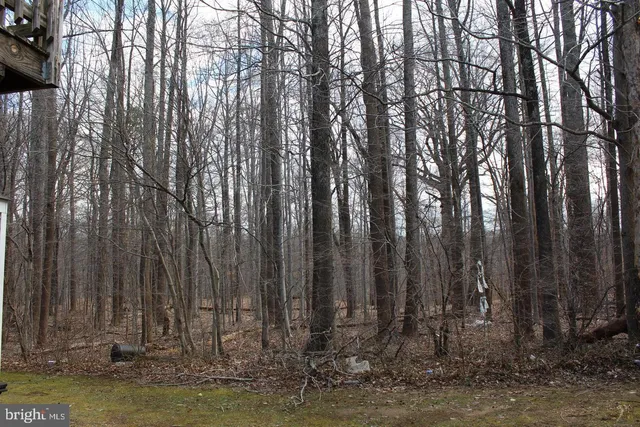 a view of swimming pool with large trees