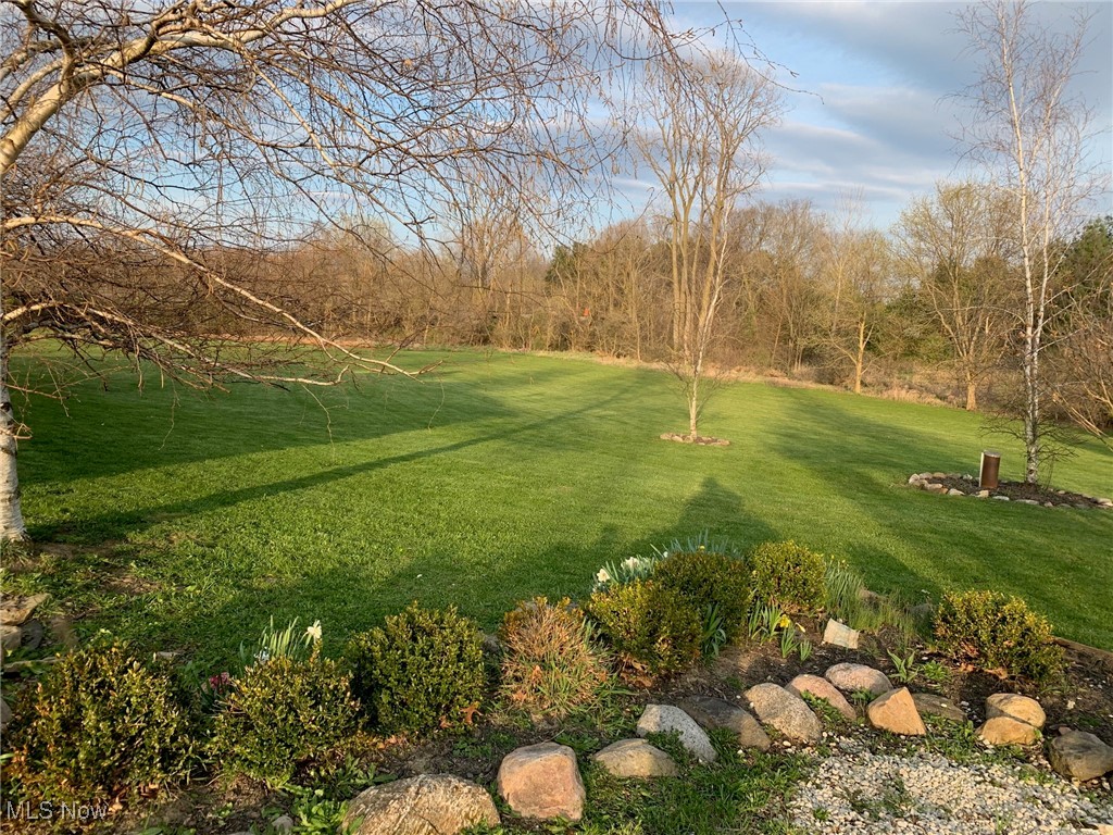 10677 Moss Road Lodi, OH 44254 - Photo 9 of 34 View of green lawn
