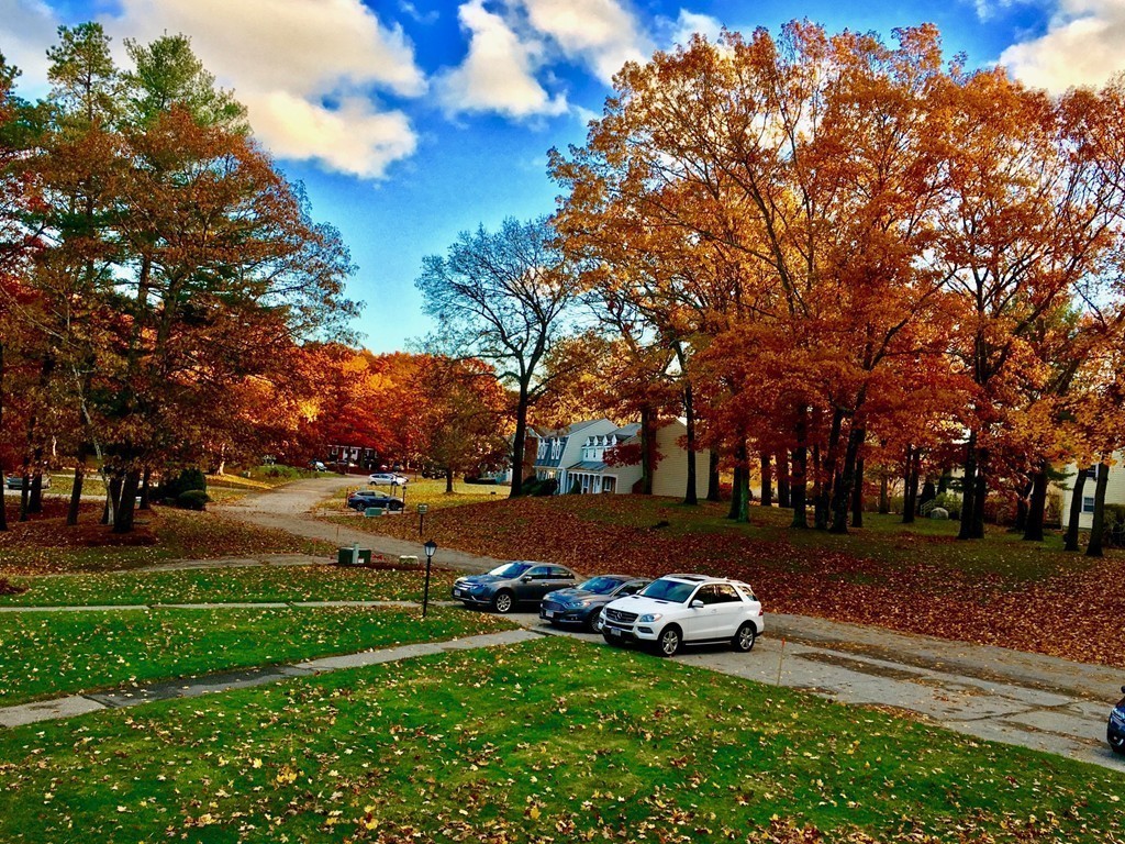 89 Drummer Road, Unit 89 Acton, MA 01720 - Photo 15 of 18