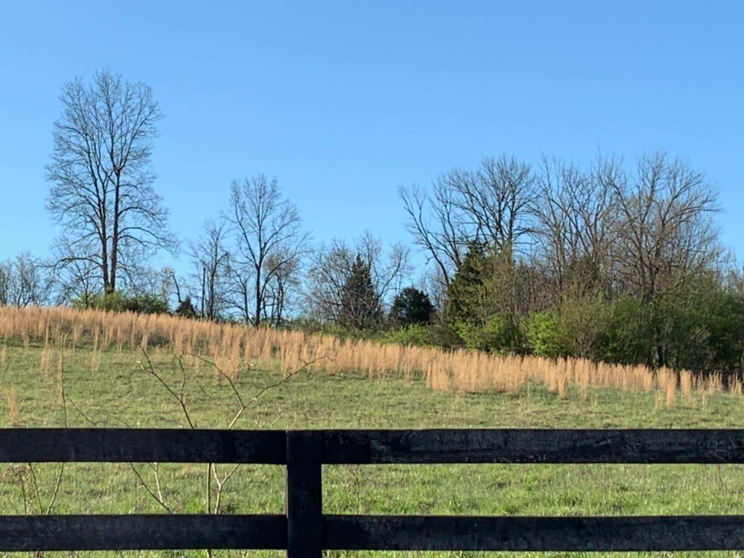 261 Colville Road Paris, KY 40361 - Photo 48 of 67 Listing Photo