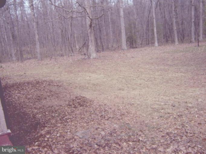 7536 Surratts Road Clinton, MD 20735 - Photo 10 of 10 Back yard