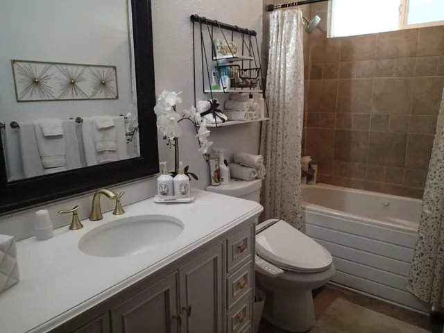 a bathroom with a sink toilet vanity and shower