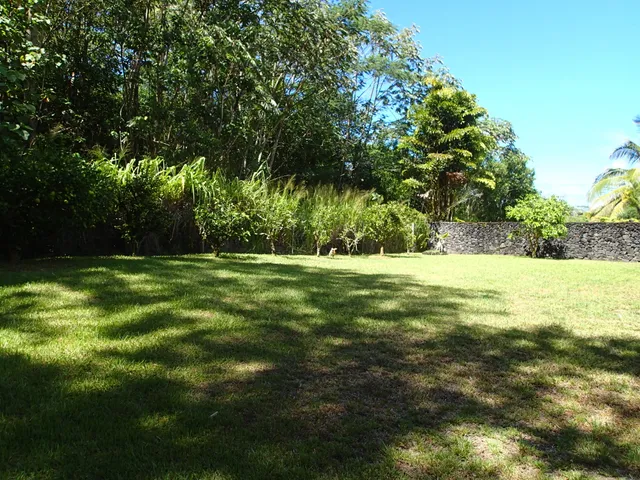 a view of outdoor space with deck and yard