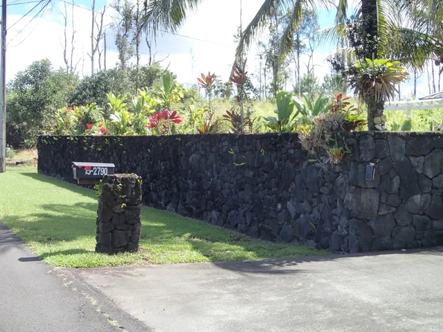 a view of a garden with a bench