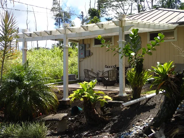 a view of a garden with plants