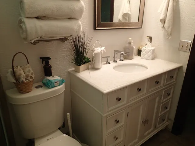 a bathroom with a sink a toilet and mirror