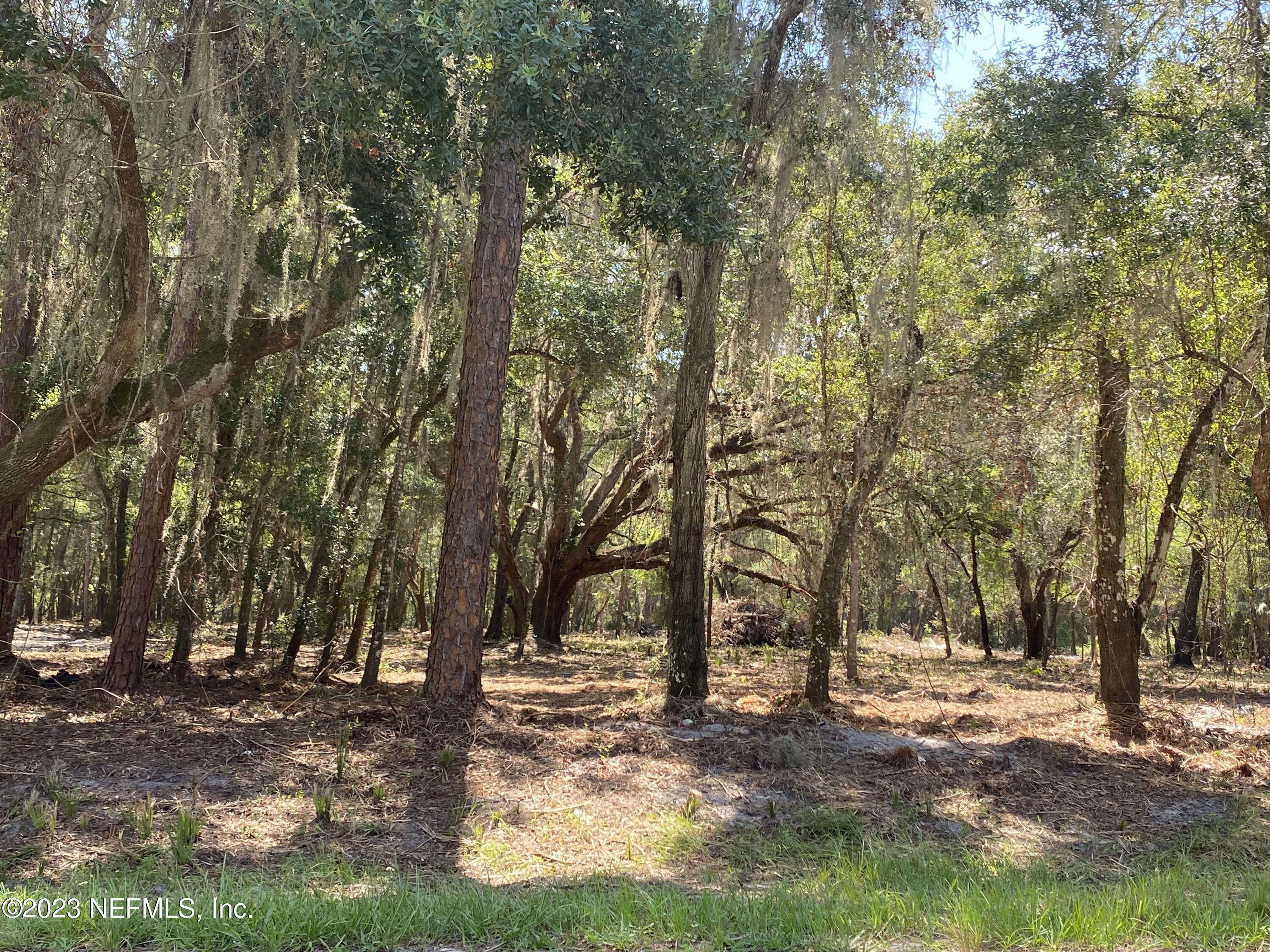 0 Georgetown Shortcut Road Georgetown, FL 32139 - Photo 6 of 11 IMG_5803