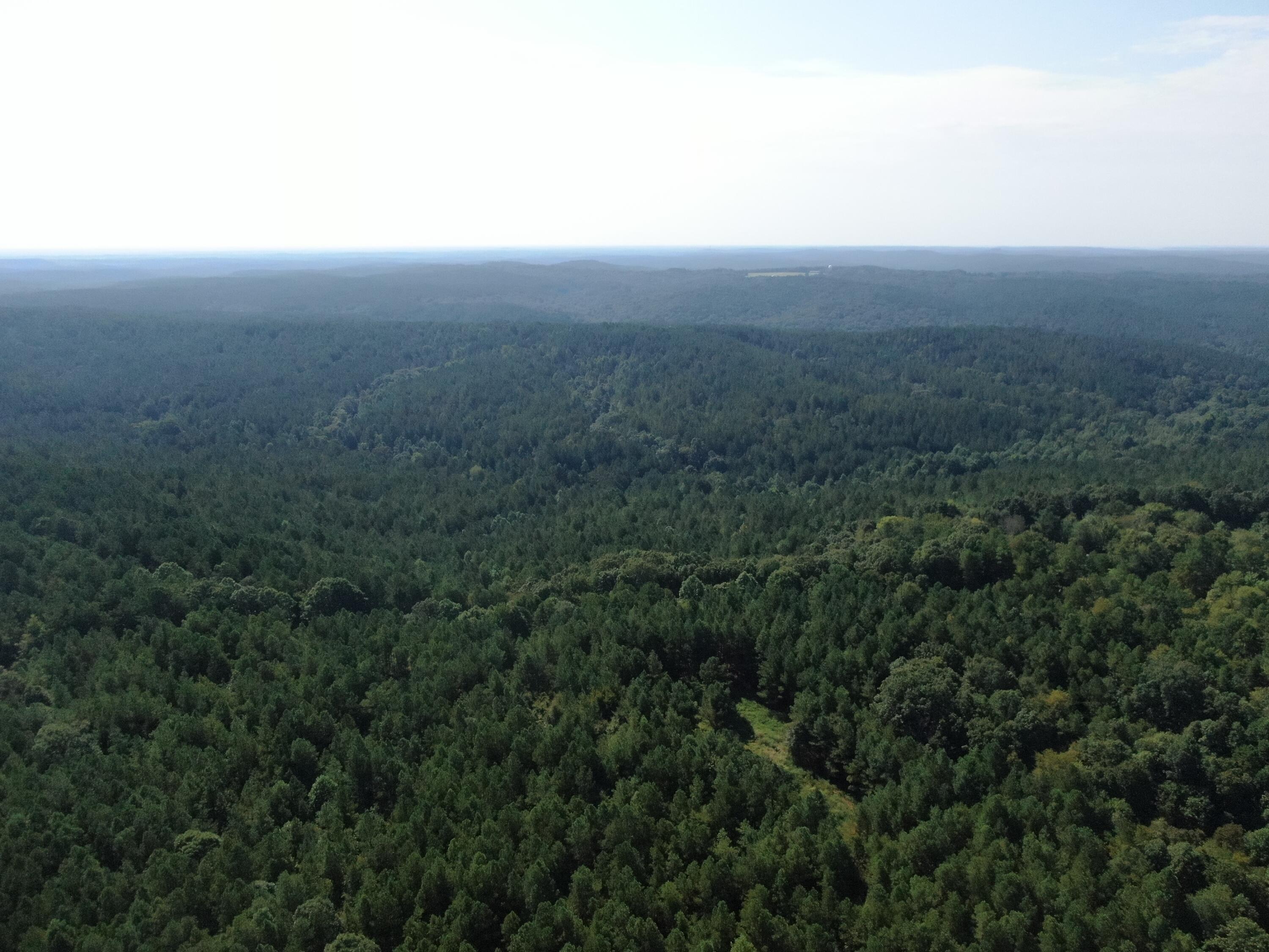 762 Co Road Walnut, MS 38683 - Photo 8 of 41 DJI_0652