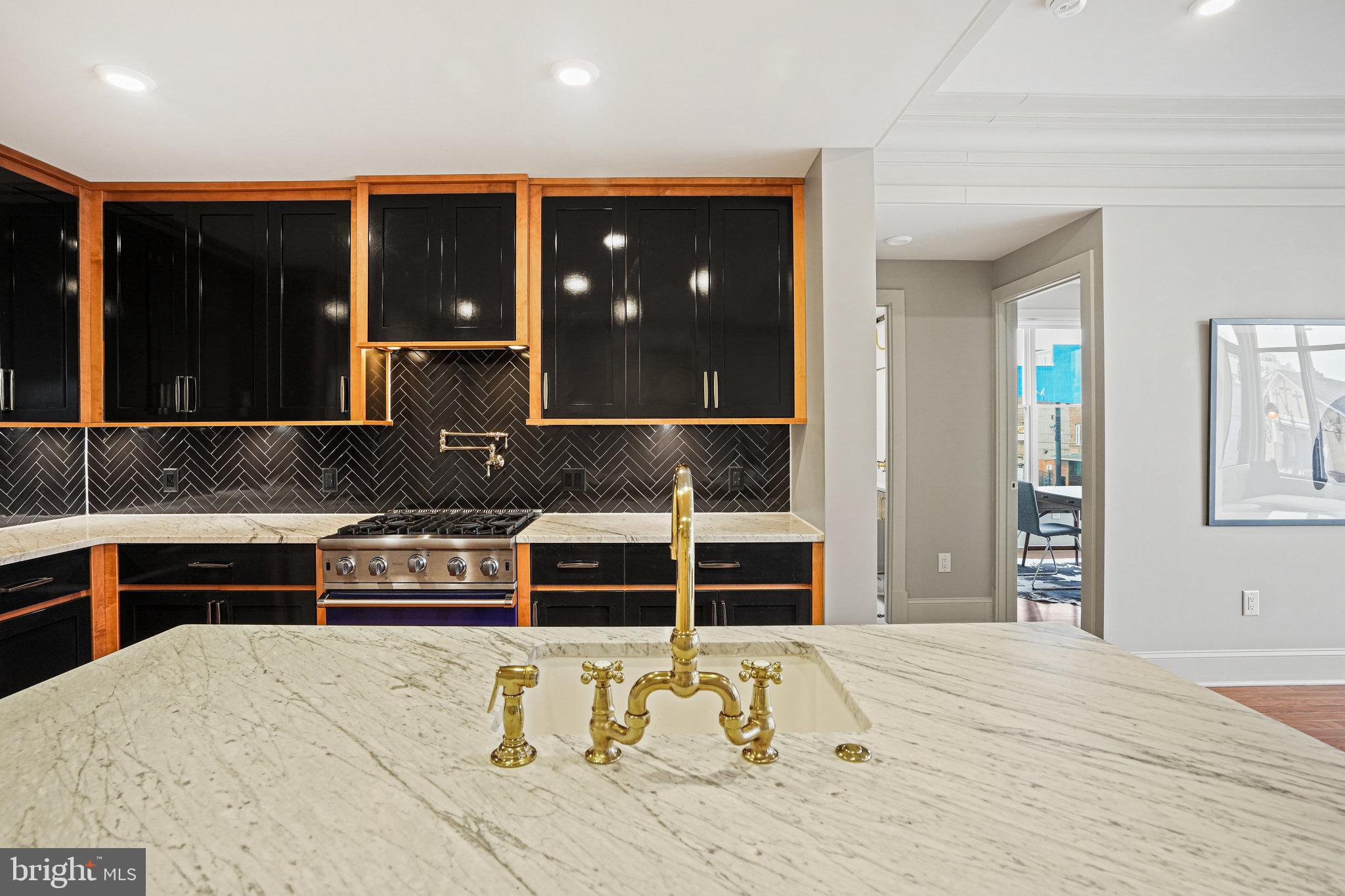 1301 H Street Northeast, Unit 1 Washington, DC 20002 - Photo 6 of 39 Quartz sink and Newport Brass fixtures.